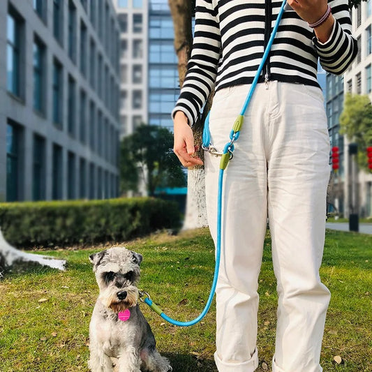 LAISSE MAINS LIBRES - Laisse de Chien Mains Libres Découvrez notre laisse mains libres, une création qui marie praticité moderne et élégance française. Cette laisse innovante offre une conception raffinée et fonctionnelle, créée pour ceux qui recherchent